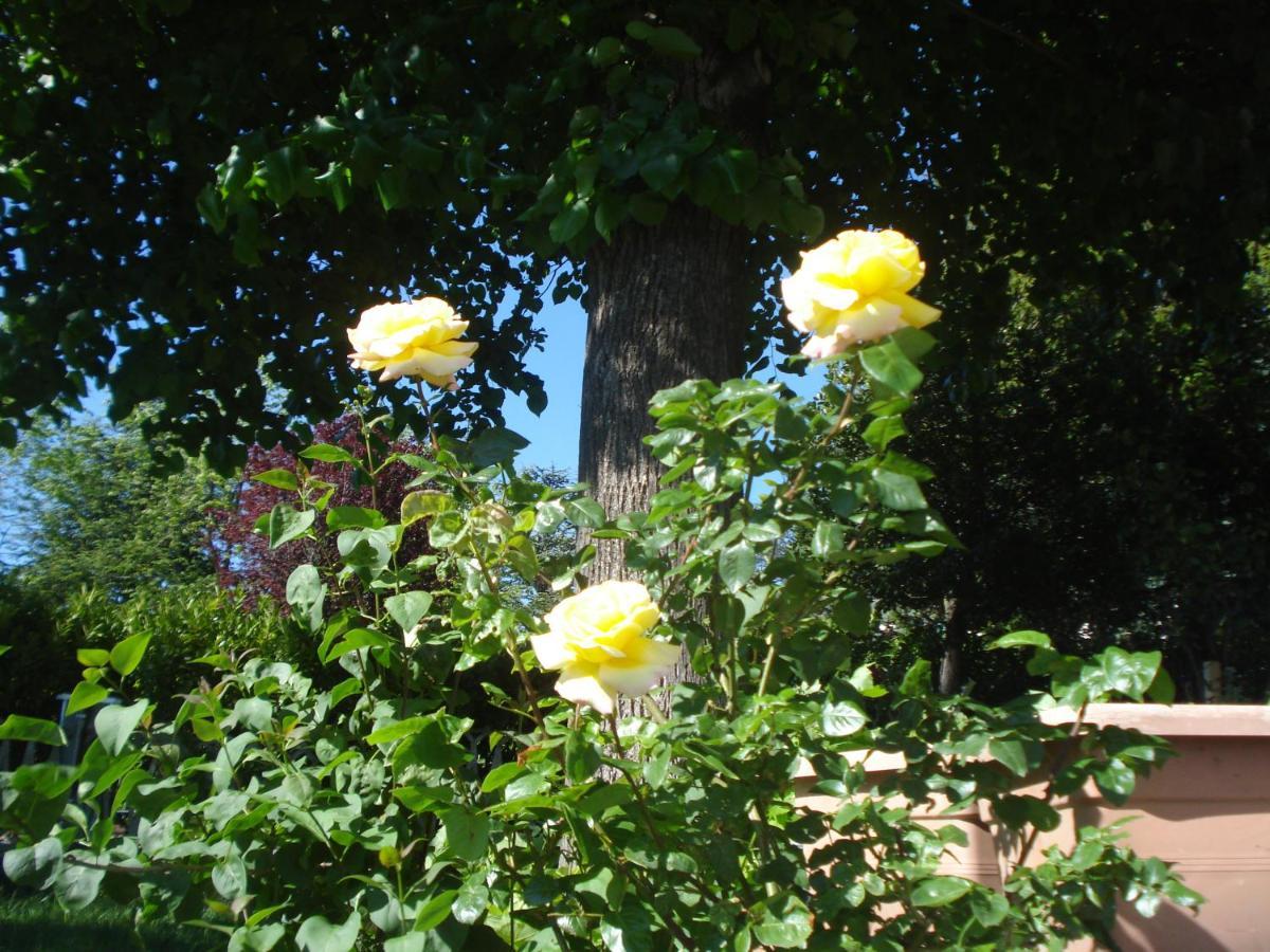 Casa T Bed And Breakfast & Home Restaurant Di Tacchino Simone Tagliolo Monferrato Exterior photo