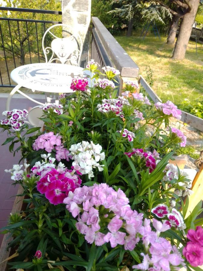 Casa T Bed And Breakfast & Home Restaurant Di Tacchino Simone Tagliolo Monferrato Exterior photo
